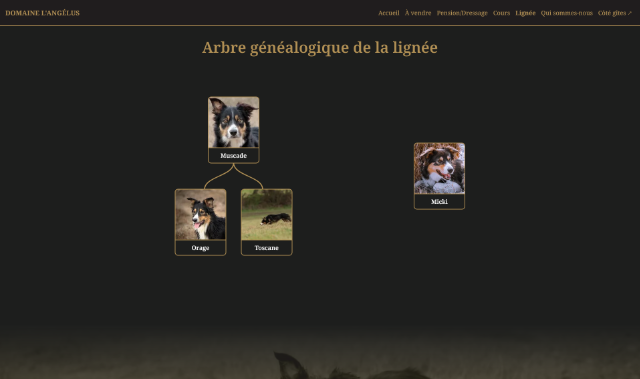 Lineage page preview